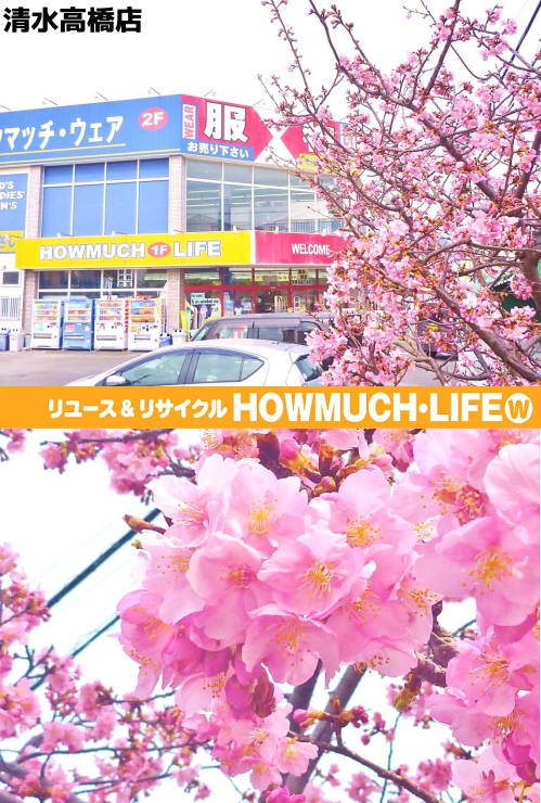 静岡市清水区の買取リサイクルショップ・ハウマッチライフ清水高橋店に2018年も河津桜が咲きました！