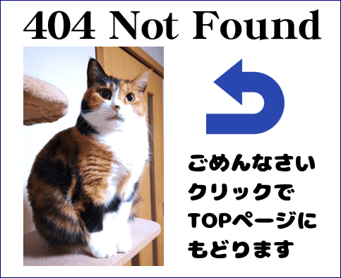 404からトップに戻るネコ